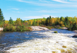 Manitoba Landscape
